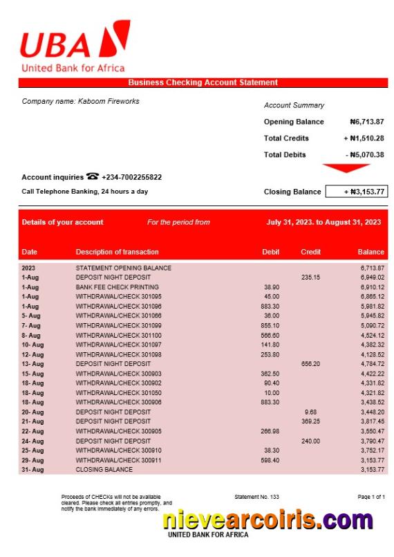 United Bank for Africa organization account statement